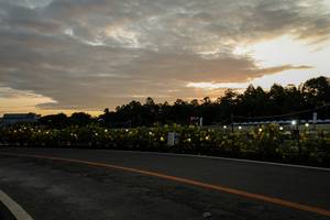 BIB: 
                            <button type="button" onclick="openModal(26555103)" class="btn btn-primary btn-sm float-right btn-popup" data-toggle="modal" data-target=".modal-high-quality">
                        <i class="fas fa-shopping-cart"></i> Add to Cart
                    </button>
                                            <button type="button" onclick="isThisMe(26555103, true)" class="btn btn-success btn-sm float-right btn-popup btn-isme hidden" data-toggle="tooltip" data-placement="bottom" title="นี่คือรูปของคุณใช่ไหม คลิกที่นี่เพื่อเอาเข้าอัลบั้ม">
                        <i class="fas fa-plus"></i> Add to album
                    </button>
                    <button type="button" onclick="isThisMe(26555103, false)" class="btn btn-warning btn-sm float-right btn-popup btn-isnotme hidden">
                        <i class="fas fa-ban"></i> Remove from album
                    </button>